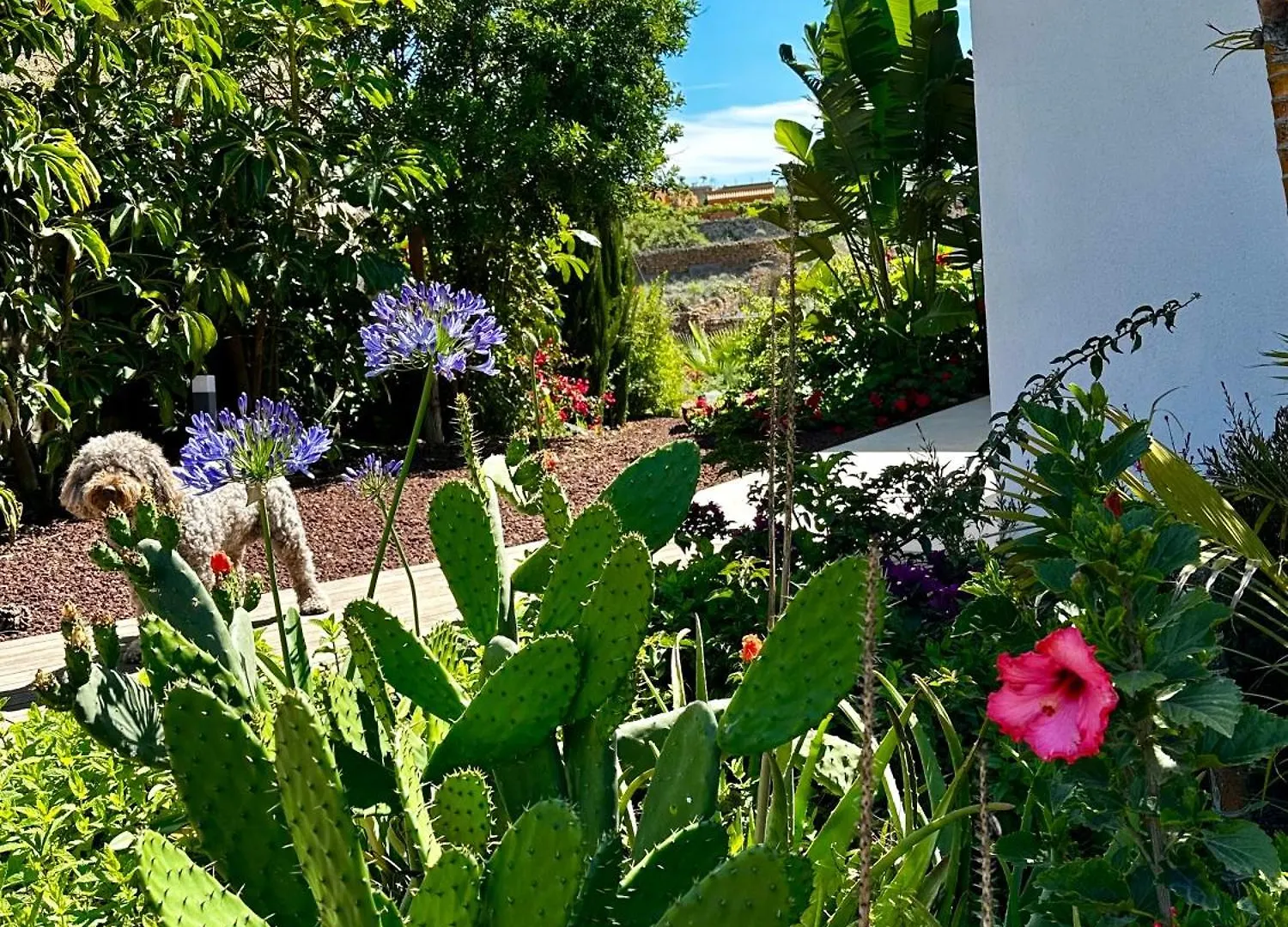 Apartment Private Studio & Terrace, Pool Granadilla De Abona Spain